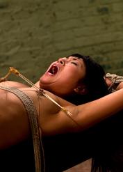 Aiden Starr Yuki Mori XXX Babexxx Petite Av69 Porn