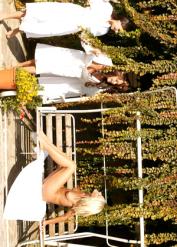 Jamie Hunger Stella Stevens Rachel Elizabeth Eve Angel XXX Img Pornbabe Wcp Audrey Porn
