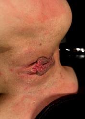 Kristine Kahill Tomi Knox XXX Smokesexgirl Bondage Trueamateurmodelscom Porn
