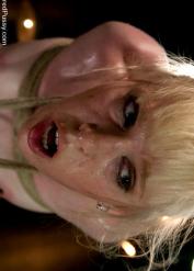 Princess Donna Sara Jane Ceylon Halie James XXX Babescom Pornstars Balzazar Porn