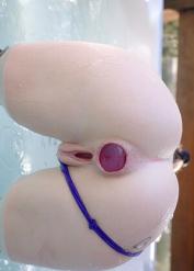Scarlet Chase XXX Optimized Toys Souking Porn