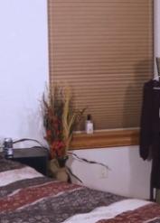 Sexy mom Mandy Flores strips to her bra and teases a dick with her undies