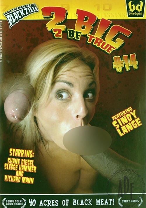 2 Big 2 Be True 14