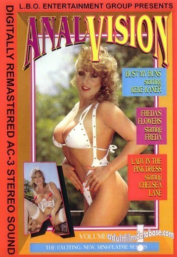 Anal Vision 1