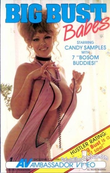 Big Bust Babes 1