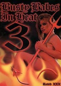Busty Babes in Heat 3