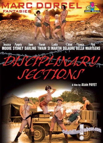 Disciplinary Sections