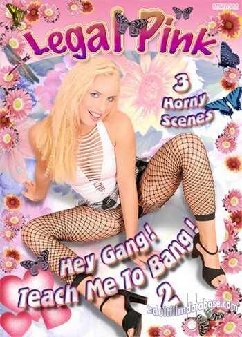 Hey Gang! Teach Me To Bang! 2