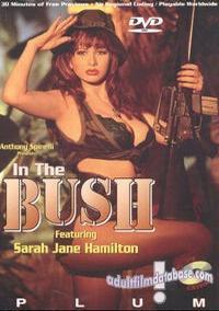 In the Bush