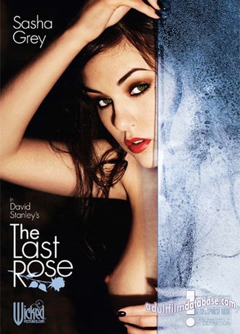 Last Rose