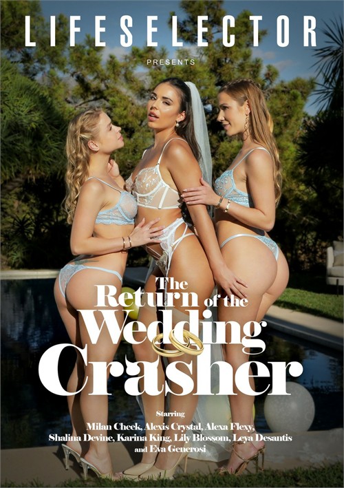 Return of the Wedding Crasher, The