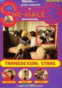 She-Male Encounters 4