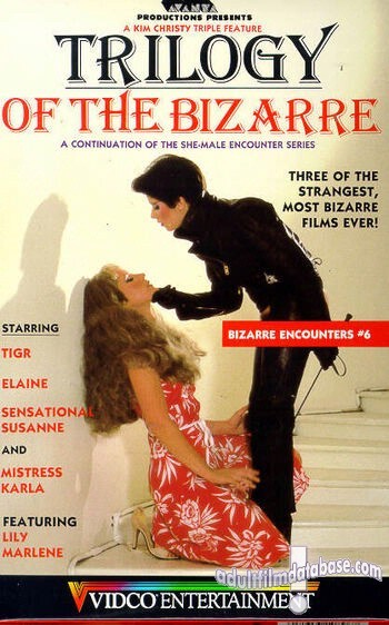 She-Male Encounters 6 - Trilogy of the Bizarre