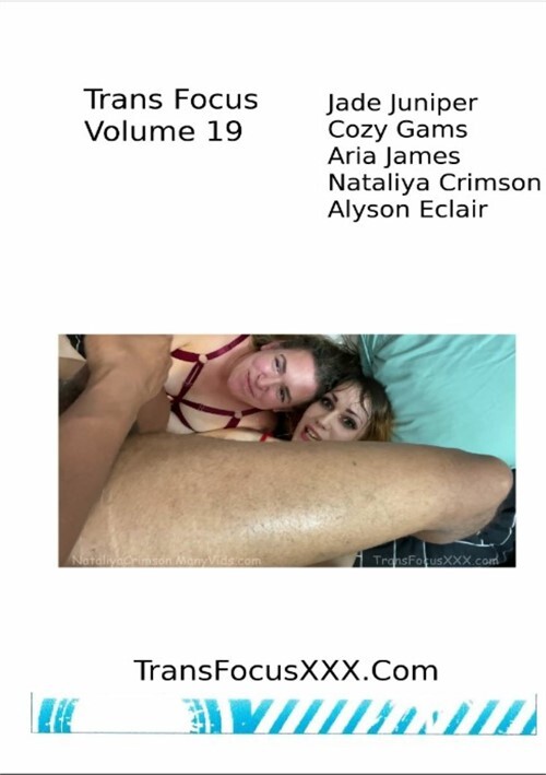 Trans Focus Volume 19