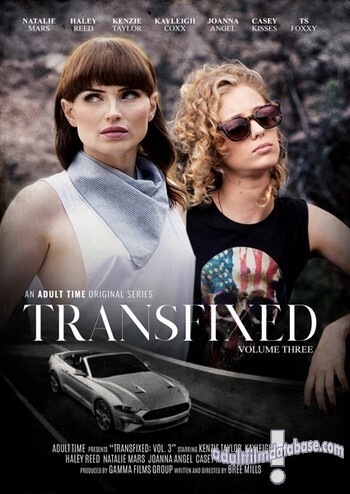 Transfixed 3