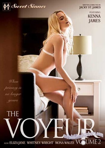Voyeur 2