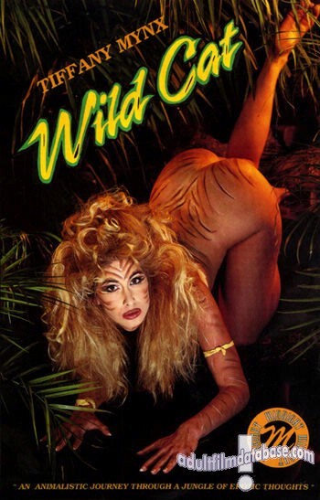 Wild Cat
