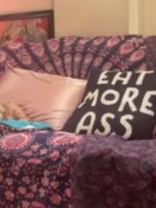 misskittycatcam