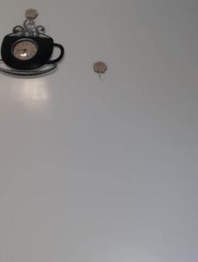 Adorableasiandoll