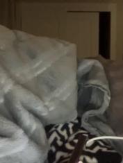 scarlettgracevip