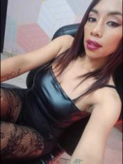 ammytorrezx