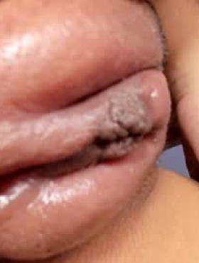Little_sadashi